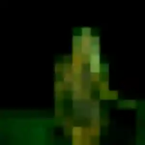 Contacte Anne, 29 ans à Gaillan-en-Médoc en t'inscrivant