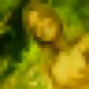 Photo exclusive de Louise, 35 ans à Ganges - rencontre sans lendemain
