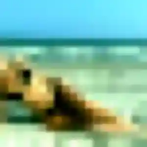 Photo de Edith à Garlin (28 ans) - plan cul gratuit