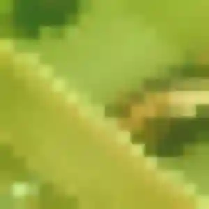 Alice, 42 ans, veut un plan cul à Garrigues-Sainte-Eulalie