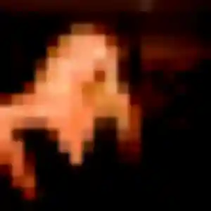 Djamila (38 ans) à Garrigues-Sainte-Eulalie cherche un plan cul aujourd'hui