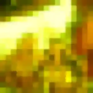 Rencontre Prisca, 37 ans à Gonneville-la-Mallet en privé