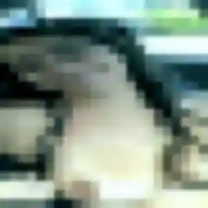 Photo de Christelle à Gorges (26 ans) - plan cul anonyme