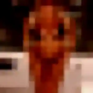 Photo de Agathe à Goudelin (31 ans) - plan cul discret