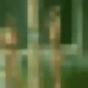 Inaya, femme de 24 ans veut plan cul à Gouesnou