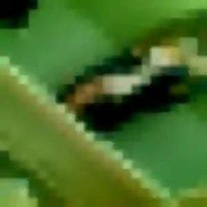 Profil de Inaya à Gouy-sous-Bellonne (34 ans) - plan cul anonyme