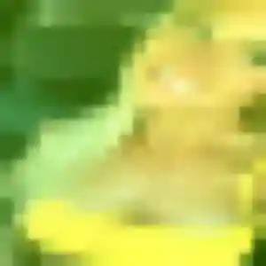 Photo exclusive de Jeannine, 33 ans à Gragnague - rencontre coquine