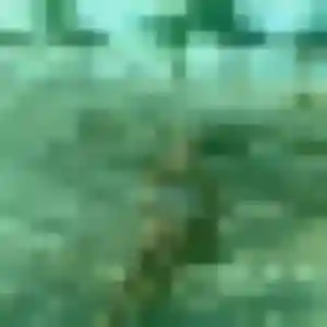 plan cul à Grand'Landes : profil de Antoinette, 38 ans - inscription gratuite