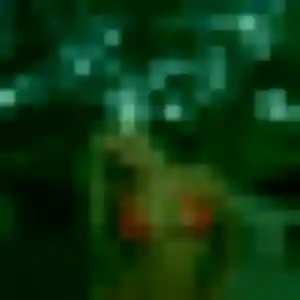 Photo privée de Antoinette, 39 ans à Grendelbruch - rencontre sans lendemain