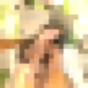 Photo privée de Vanessa, 31 ans à Gresswiller - rencontre sans lendemain