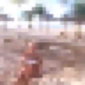 Photo de Martine à Grisolles (43 ans) - plan cul anonyme