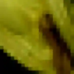 Découvre Madeleine, 43 ans à Grisy-les-Plâtres en privé