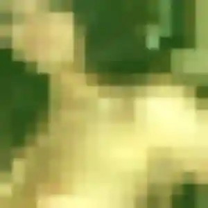 Charmante Laurie, 31 ans à Gruchet-Saint-Siméon - voir sa photo