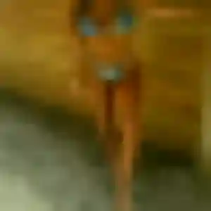 Profil de Henriette à Gruissan (33 ans) - plan cul discret