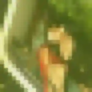 Photo de Maeva à Guibeville (45 ans) - plan cul anonyme