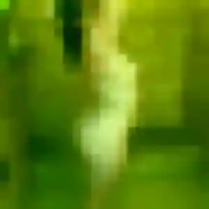 Sixtine (22 ans) à Guillon-Terre-Plaine cherche un plan cul ce soir