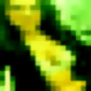 Photo perso de Alice, 43 ans à Guiscard - plan discret