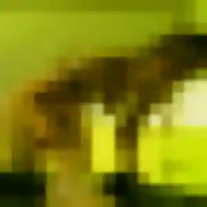 Profil de Eva à Habarcq (39 ans) - plan cul discret