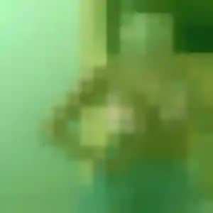 Découvre Prisca, 43 ans à Hagetmau gratuitement