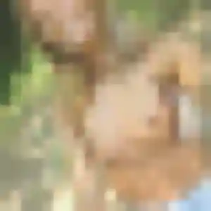 Jolie Monique, 26 ans à Haraucourt - découvrir son profil