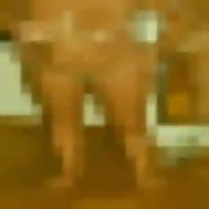 Profil de Julie à Harol (28 ans) - plan cul anonyme