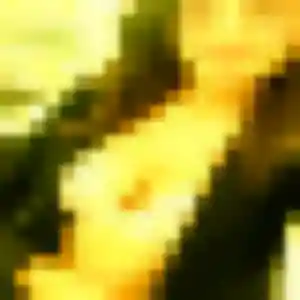 Photo de Coralie à Hatrize (44 ans) - plan cul gratuit