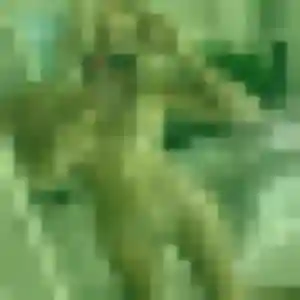Photo de Inaya à Haut Valromey (35 ans) - plan cul anonyme