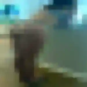 Jolie Brigitte, 22 ans à Heuringhem - la contacter