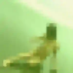 Découvre Anne-Laure, 33 ans à Horgues en privé