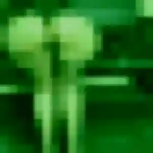 Odette (30 ans) à Houppeville propose une rencontre aujourd'hui