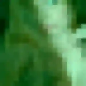Photo de Charlene à Idron (31 ans) - plan cul discret