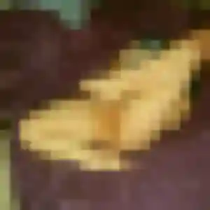 Profil de Orianne à Illats (22 ans) - plan cul anonyme
