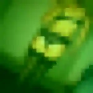 Belle Vanessa, 38 ans à Isles-sur-Suippe - la contacter