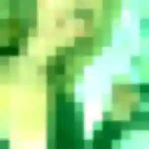 Sexy Alexandra, 38 ans à Izel-lès-Équerchin - la contacter