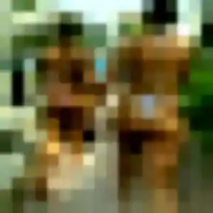 Louna, 26 ans, connectée à Jacob-Bellecombette pour un plan cul