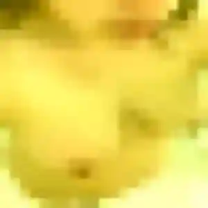 Photo privée de Soizic, 22 ans à Jacob-Bellecombette - rencontre sans lendemain