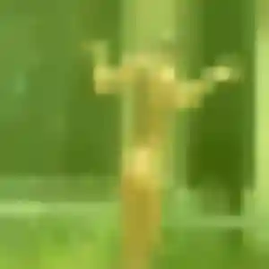 Lola de Jard-sur-Mer, 30 ans - plan cul en toute liberté