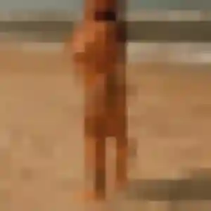 Adeline de Joué-en-Charnie, 30 ans - plan cul en toute liberté