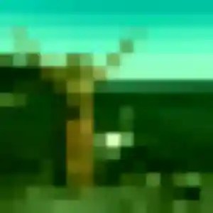 plan cul à L'Aiguillon-sur-Vie : photo de Josephine, 35 ans - accès libre