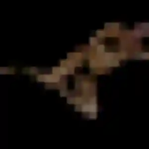 Jessica, 25 ans, disponible à L'Huisserie pour une rencontre coquine