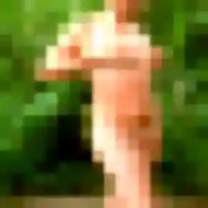 Gwendoline, 31 ans, connectée à La Bonneville-sur-Iton pour un plan cul