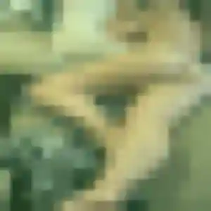 Garance, femme de 42 ans veut plan cul à La Celle-Saint-Cyr