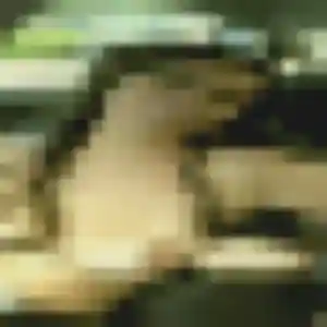 Photo de Eleonore à La Chapelle-d'Angillon (34 ans) - plan cul gratuit