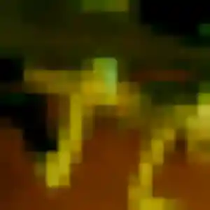 Jolie Tania, 26 ans à La Chapelle-d'Angillon - découvrir son profil