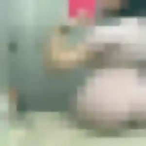 plan cul à La Chapelle-d'Armentières : photo de Noella, 33 ans - accès libre