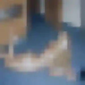 Alice, 26 ans, cherche un plan cul à La Chapelle-de-la-Tour