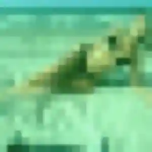 Nadege, fille de 31 ans cherche plan cul à La Chapelle-des-Fougeretz