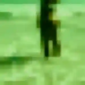 Sexy Chloe, 30 ans à La Chapelle-du-Bois - la contacter