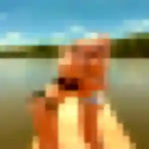 Sabrina, 43 ans, cherche un plan cul à La Chapelle-du-Bois