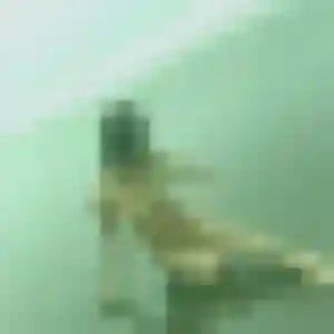 Jolie Victoire, 37 ans à La Chapelle-Longueville - la contacter